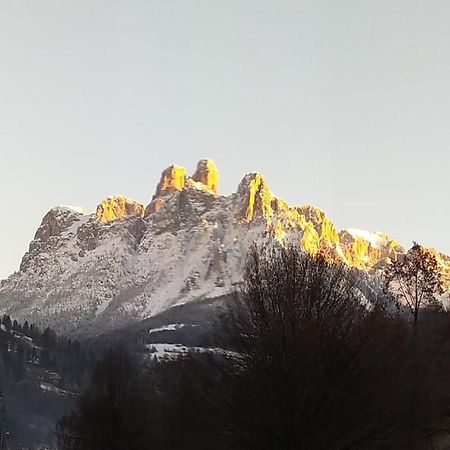 メッツァーノCasa Renzo - Dolomiti - Trentinoアパートメント エクステリア 写真