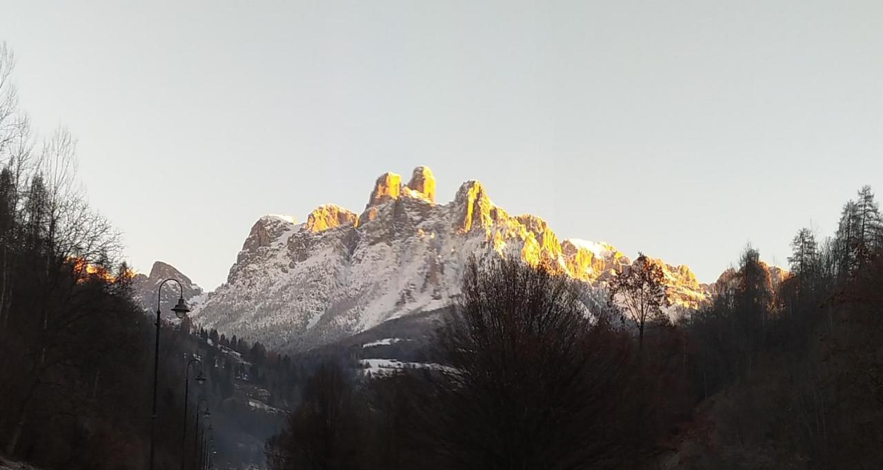 メッツァーノCasa Renzo - Dolomiti - Trentinoアパートメント エクステリア 写真