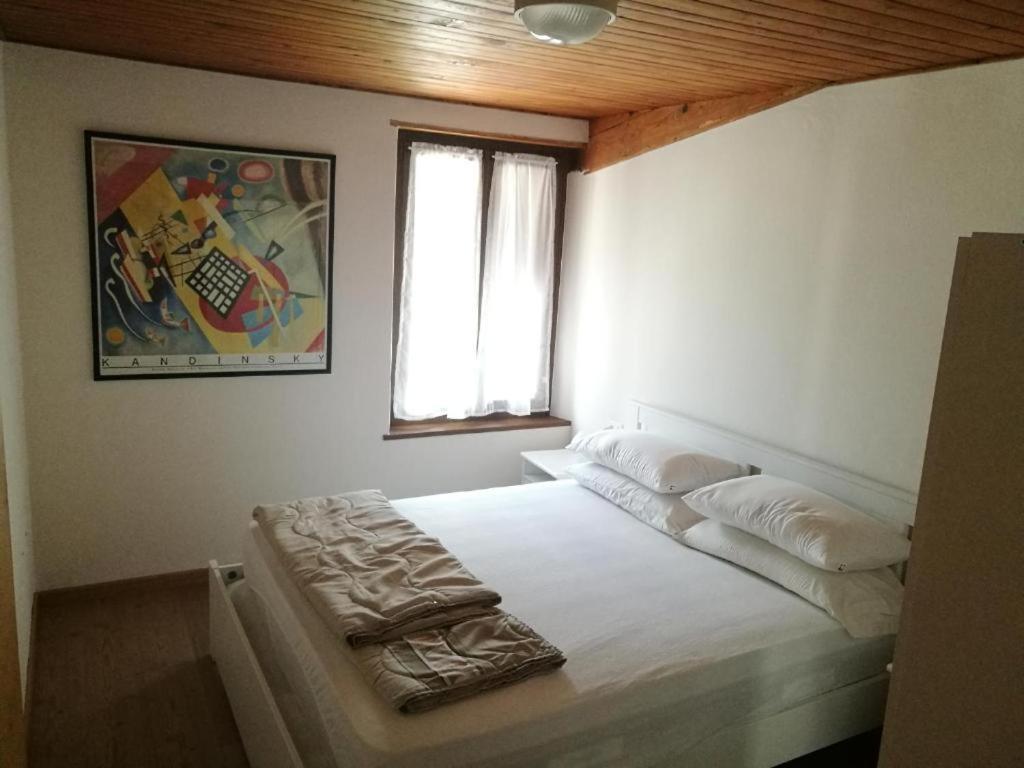 メッツァーノCasa Renzo - Dolomiti - Trentinoアパートメント エクステリア 写真