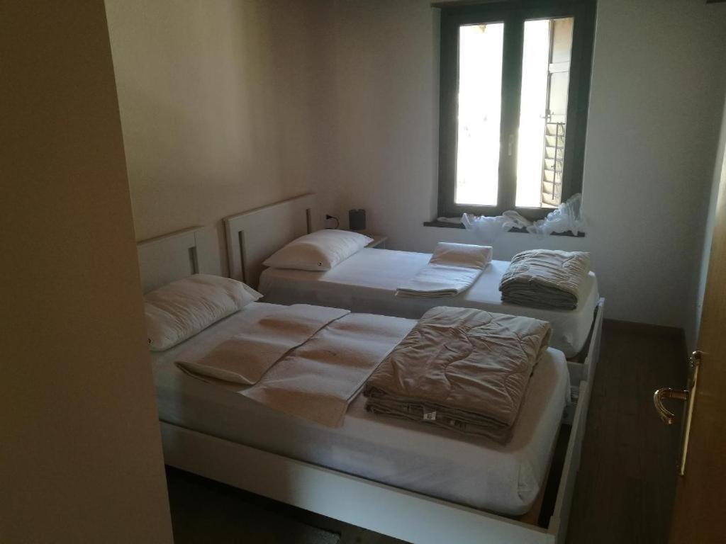 メッツァーノCasa Renzo - Dolomiti - Trentinoアパートメント エクステリア 写真